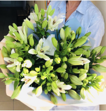 15 азиатских лилий