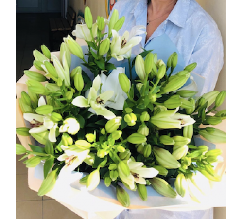 15 азиатских лилий