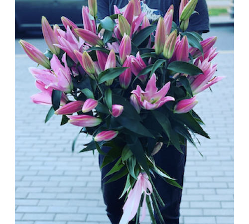 17 розовых красоток