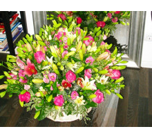 Микс из 51 лилии в корзине 