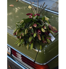 9 розовых лилий 