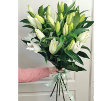 Букет из 5 белых лилий 