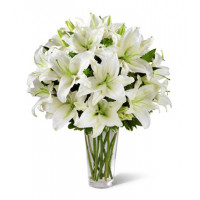 25 белых лилий в вазе