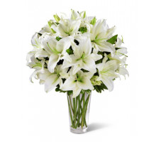25 белых лилий в вазе