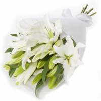 Букет из 7 белых лилий