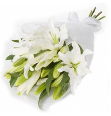 Букет из 7 белых лилий