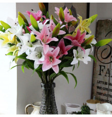 Летняя пора