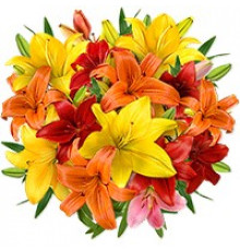 Микс из лилий