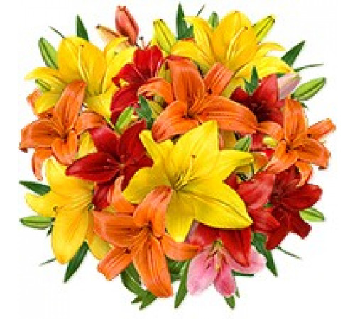 Микс из лилий