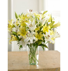 Бело-желтый букет