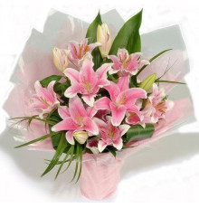 Розовый рассвет