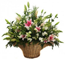 Завтрак в Ницце