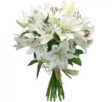 11 белых лилий