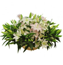 Парижские тайны