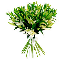 Твои любимые лилий